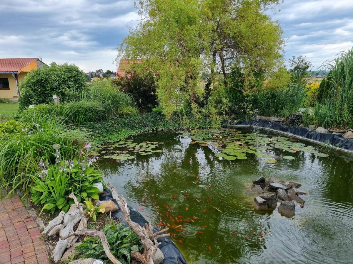 Apartament U Beti Opole Bagian luar foto