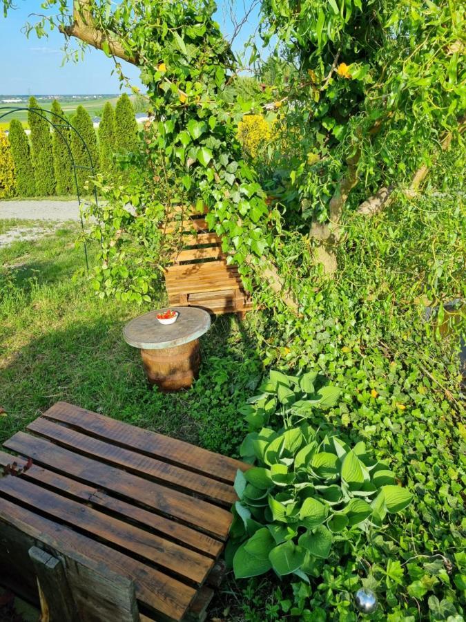 Apartament U Beti Opole Bagian luar foto
